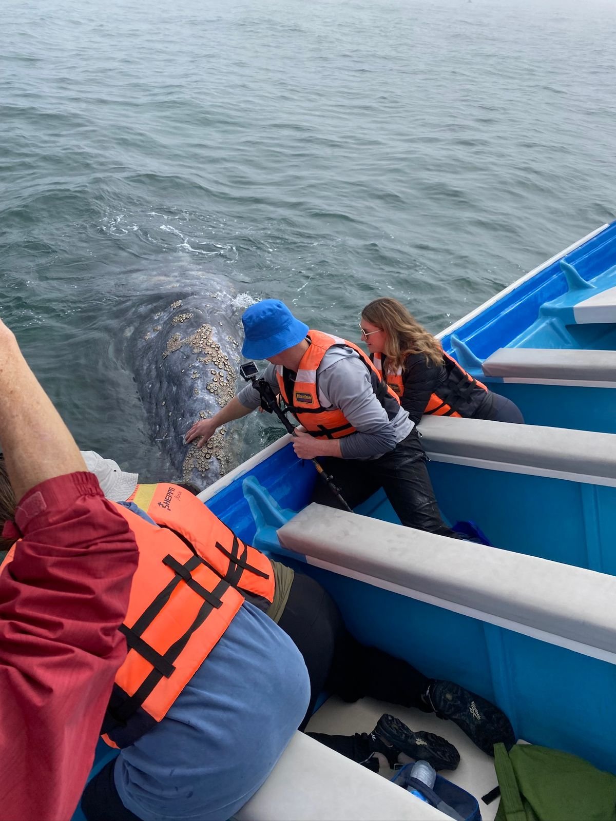 WhatsApp Image 2025-08-09 at 19.52.45 (2)